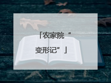 农家院“变形记”