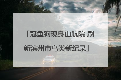 冠鱼狗现身山航院 刷新滨州市鸟类新纪录