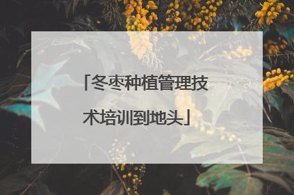 冬枣种植管理技术培训到地头