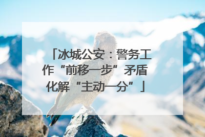 冰城公安：警务工作“前移一步”矛盾化解“主动一分”