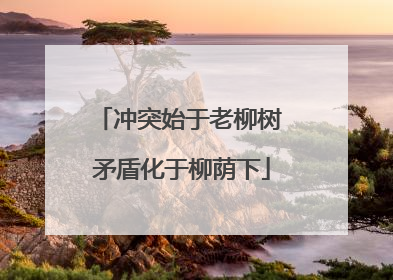 冲突始于老柳树 矛盾化于柳荫下