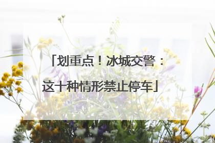 划重点！冰城交警：这十种情形禁止停车