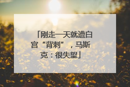刚走一天就遭白宫“背刺”，马斯克：很失望