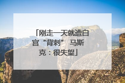 刚走一天就遭白宫“背刺” 马斯克：很失望