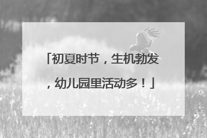 初夏时节，生机勃发，幼儿园里活动多！