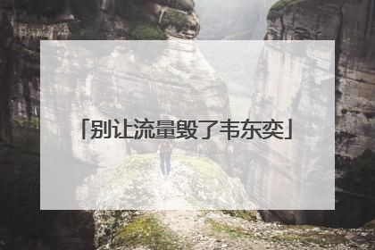 别让流量毁了韦东奕