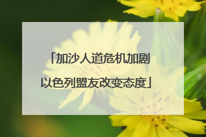 加沙人道危机加剧 以色列盟友改变态度