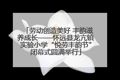 劳动创造美好 丰韵滋养成长——怀远县龙亢镇实验小学“悦劳丰韵节”闭幕式圆满举行
