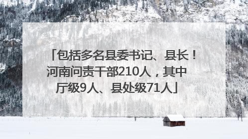 包括多名县委书记、县长！河南问责干部210人，其中厅级9人、县处级71人