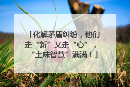 化解矛盾纠纷，他们走“新”又走“心”，“土味智慧”满满！
