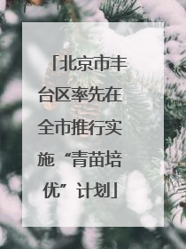 北京市丰台区率先在全市推行实施“青苗培优”计划