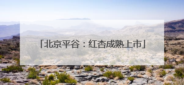 北京平谷：红杏成熟上市