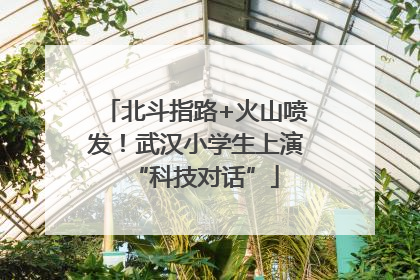 北斗指路+火山喷发！武汉小学生上演“科技对话”