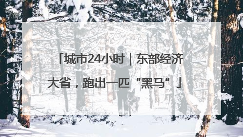 城市24小时｜东部经济大省，跑出一匹“黑马”