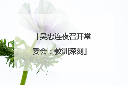 吴忠连夜召开常委会：教训深刻