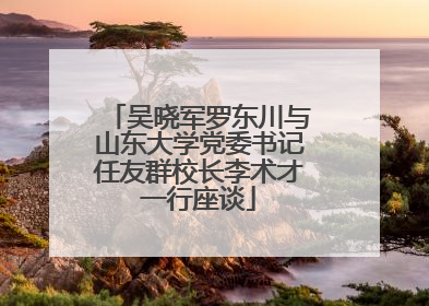 吴晓军罗东川与山东大学党委书记任友群校长李术才一行座谈