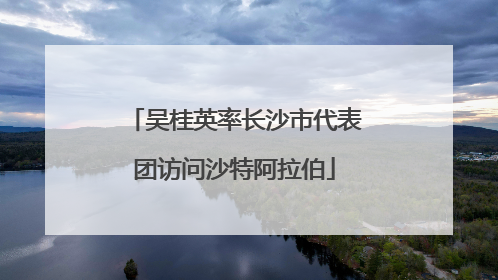 吴桂英率长沙市代表团访问沙特阿拉伯