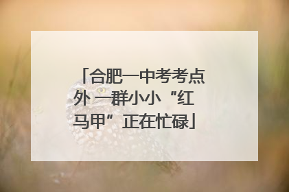 合肥一中考考点外 一群小小“红马甲”正在忙碌