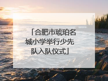 合肥市琥珀名城小学举行少先队入队仪式