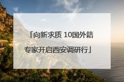 向新求质 10国外籍专家开启西安调研行