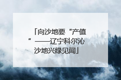 向沙地要“产值”——辽宁科尔沁沙地兴绿见闻