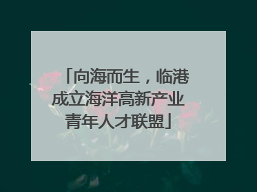向海而生，临港成立海洋高新产业青年人才联盟