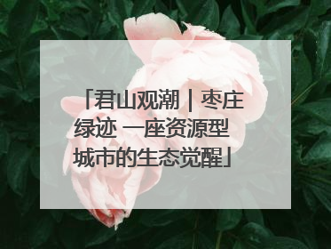 君山观潮｜枣庄绿迹 一座资源型城市的生态觉醒