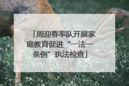 周迎春率队开展家庭教育促进“一法一条例”执法检查