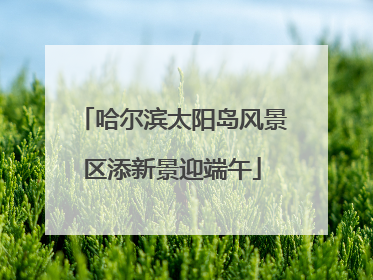 哈尔滨太阳岛风景区添新景迎端午