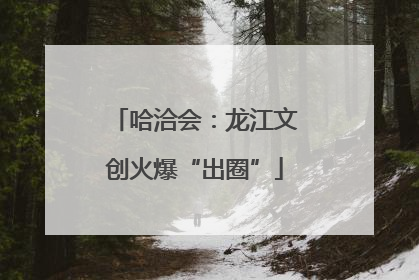哈洽会：龙江文创火爆“出圈”