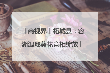 商视界丨柘城县：容湖湿地葵花竞相绽放