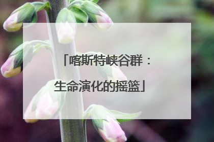 喀斯特峡谷群：生命演化的摇篮