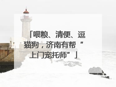 喂粮、清便、逗猫狗，济南有帮“上门宠托师”