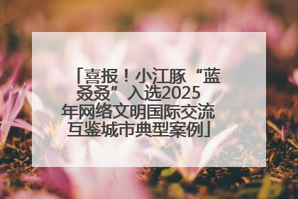 喜报！小江豚“蓝叒叒”入选2025年网络文明国际交流互鉴城市典型案例