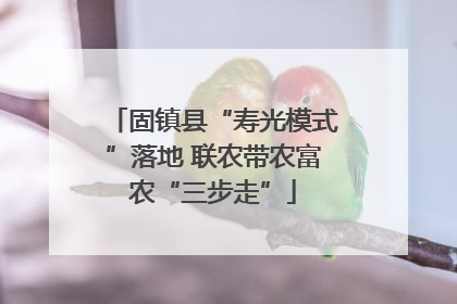 固镇县“寿光模式”落地 联农带农富农“三步走”
