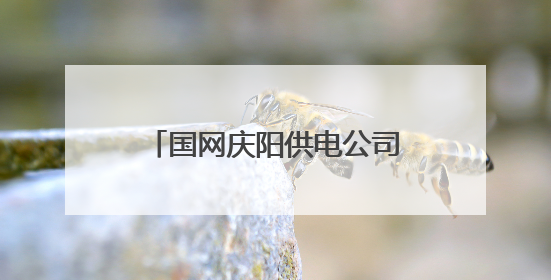 国网庆阳供电公司：电牵庙会百年情 守护古镇文化根