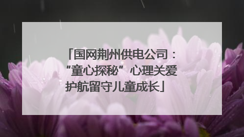 国网荆州供电公司：“童心探秘”心理关爱护航留守儿童成长