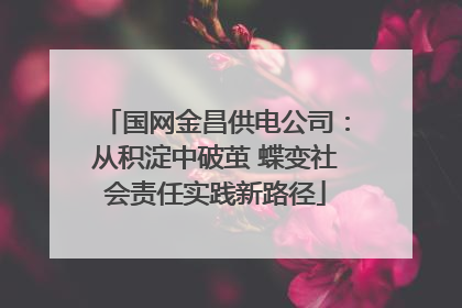 国网金昌供电公司：从积淀中破茧 蝶变社会责任实践新路径