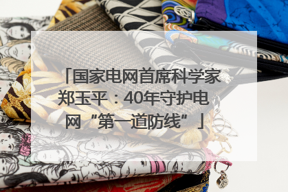 国家电网首席科学家郑玉平：40年守护电网“第一道防线”