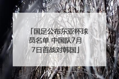 国足公布东亚杯球员名单 中国队7月7日首战对韩国