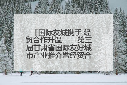 国际友城携手 经贸合作升温——第三届甘肃省国际友好城市产业推介暨经贸合作对接活动特写
