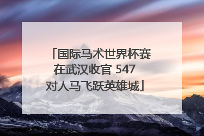 国际马术世界杯赛在武汉收官 547对人马飞跃英雄城