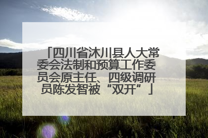 四川省沐川县人大常委会法制和预算工作委员会原主任、四级调研员陈发智被“双开”