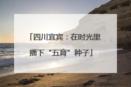 四川宜宾：在时光里播下“五育”种子