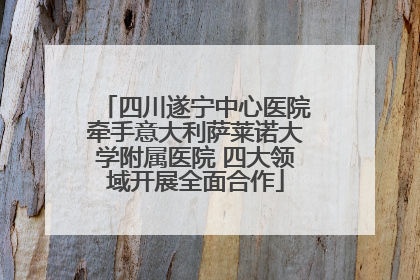 四川遂宁中心医院牵手意大利萨莱诺大学附属医院 四大领域开展全面合作