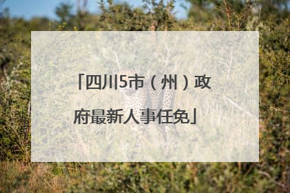 四川5市（州）政府最新人事任免