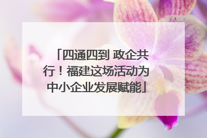 四通四到 政企共行！福建这场活动为中小企业发展赋能