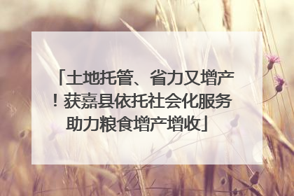 土地托管、省力又增产！获嘉县依托社会化服务助力粮食增产增收