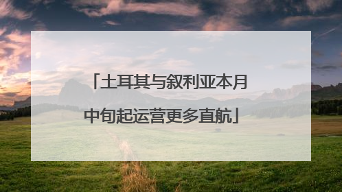 土耳其与叙利亚本月中旬起运营更多直航