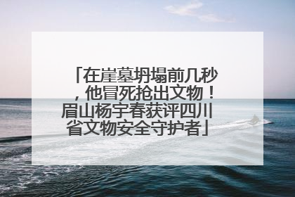 在崖墓坍塌前几秒，他冒死抢出文物！眉山杨宇春获评四川省文物安全守护者
